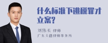 什么标准下逃税罪才立案?