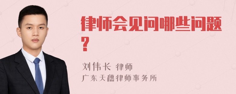 律师会见问哪些问题?