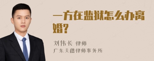 一方在监狱怎么办离婚?