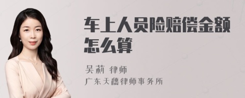 车上人员险赔偿金额怎么算