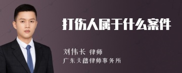 打伤人属于什么案件