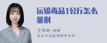 运输毒品1公斤怎么量刑