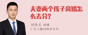 夫妻两个孩子离婚怎么去分?