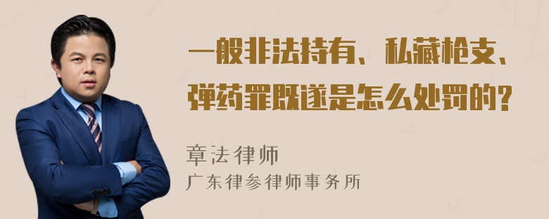 一般非法持有、私藏枪支、弹药罪既遂是怎么处罚的?