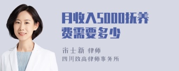 月收入5000抚养费需要多少