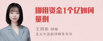 挪用资金1个亿如何量刑