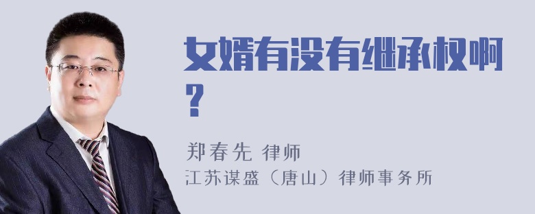 女婿有没有继承权啊？