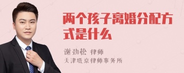 两个孩子离婚分配方式是什么