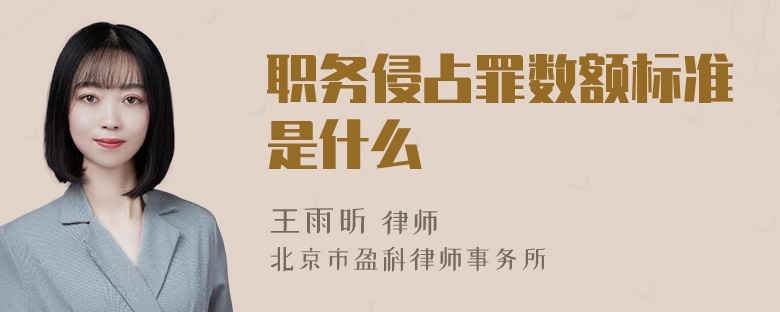 职务侵占罪数额标准是什么