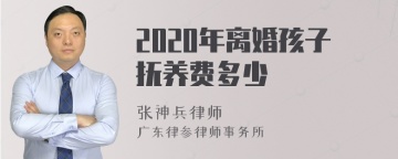 2020年离婚孩子抚养费多少