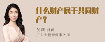 什么财产属于共同财产?