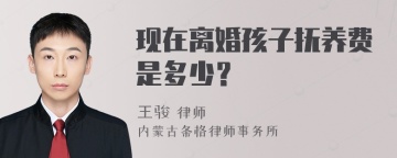 现在离婚孩子抚养费是多少？