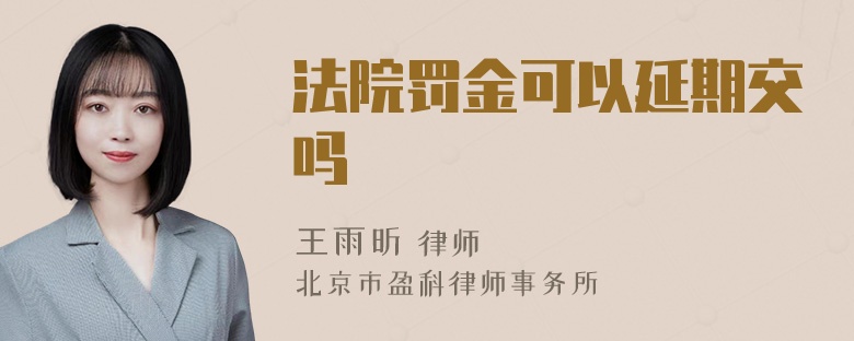 法院罚金可以延期交吗