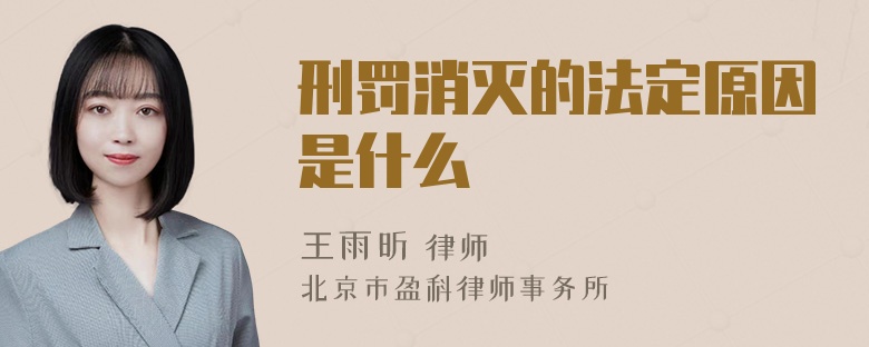 刑罚消灭的法定原因是什么