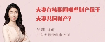 夫妻存续期间哪些财产属于夫妻共同财产?