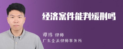 经济案件能判缓刑吗