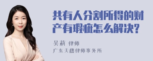 共有人分割所得的财产有瑕疵怎么解决?