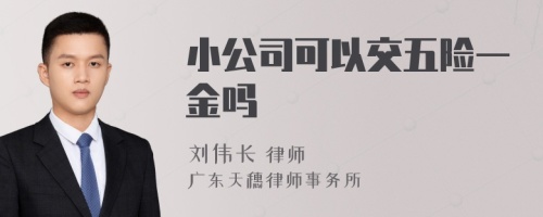 小公司可以交五险一金吗