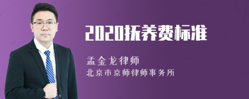 2020抚养费标准