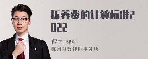 抚养费的计算标准2022