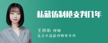 私藏仿制枪支判几年