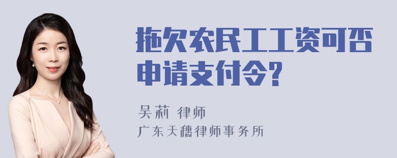 拖欠农民工工资可否申请支付令?