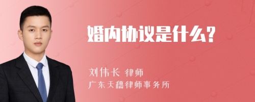 婚内协议是什么?
