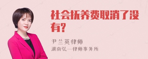 社会抚养费取消了没有?