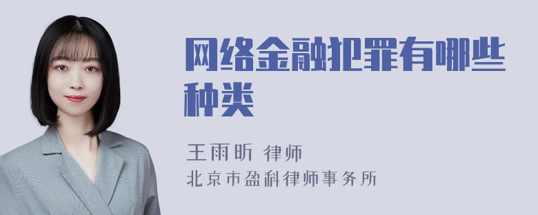 网络金融犯罪有哪些种类