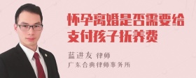 怀孕离婚是否需要给支付孩子抚养费