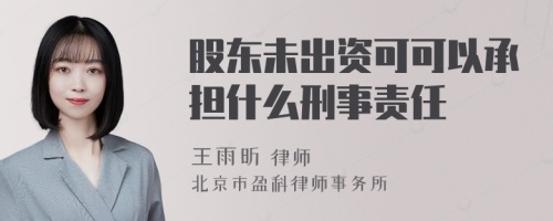 股东未出资可可以承担什么刑事责任