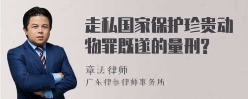 走私国家保护珍贵动物罪既遂的量刑?