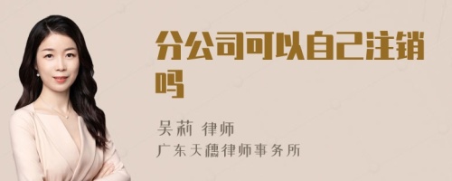 分公司可以自己注销吗