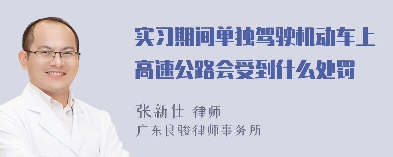 实习期间单独驾驶机动车上高速公路会受到什么处罚