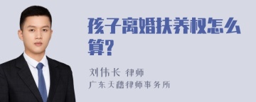 孩子离婚扶养权怎么算?