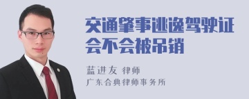 交通肇事逃逸驾驶证会不会被吊销