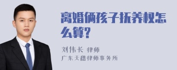 离婚俩孩子抚养权怎么算?