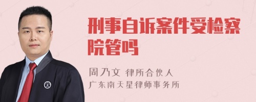 刑事自诉案件受检察院管吗