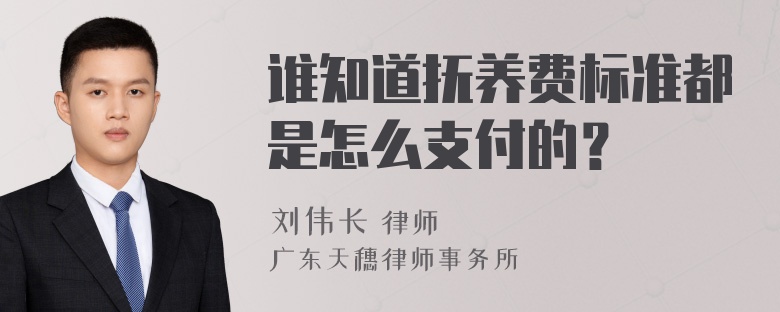 谁知道抚养费标准都是怎么支付的？