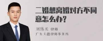 二婚想离婚对方不同意怎么办?