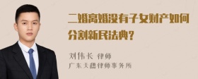 二婚离婚没有子女财产如何分割新民法典?