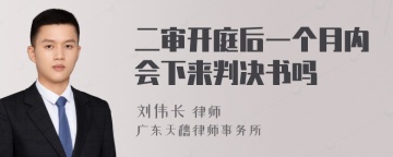 二审开庭后一个月内会下来判决书吗