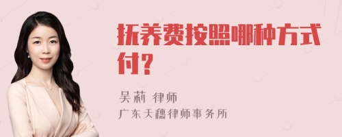 抚养费按照哪种方式付？