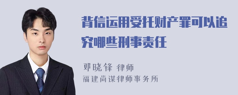 背信运用受托财产罪可以追究哪些刑事责任