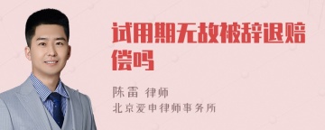 试用期无故被辞退赔偿吗