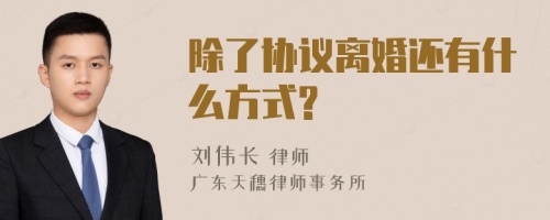 除了协议离婚还有什么方式?