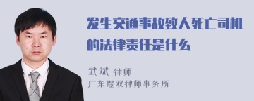 发生交通事故致人死亡司机的法律责任是什么