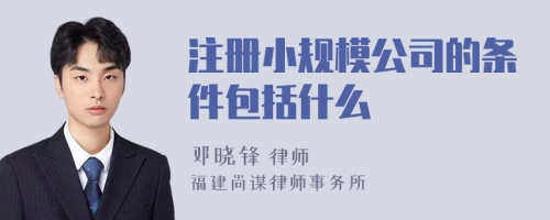 注册小规模公司的条件包括什么