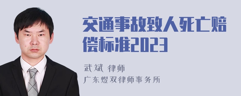 交通事故致人死亡赔偿标准2023