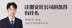 注册文化公司的条件有什么